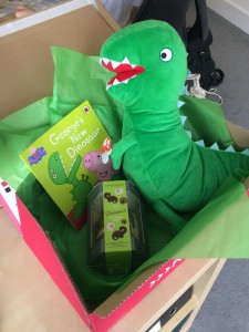 Tanya also helped to fill some special boxes for Paultons Park