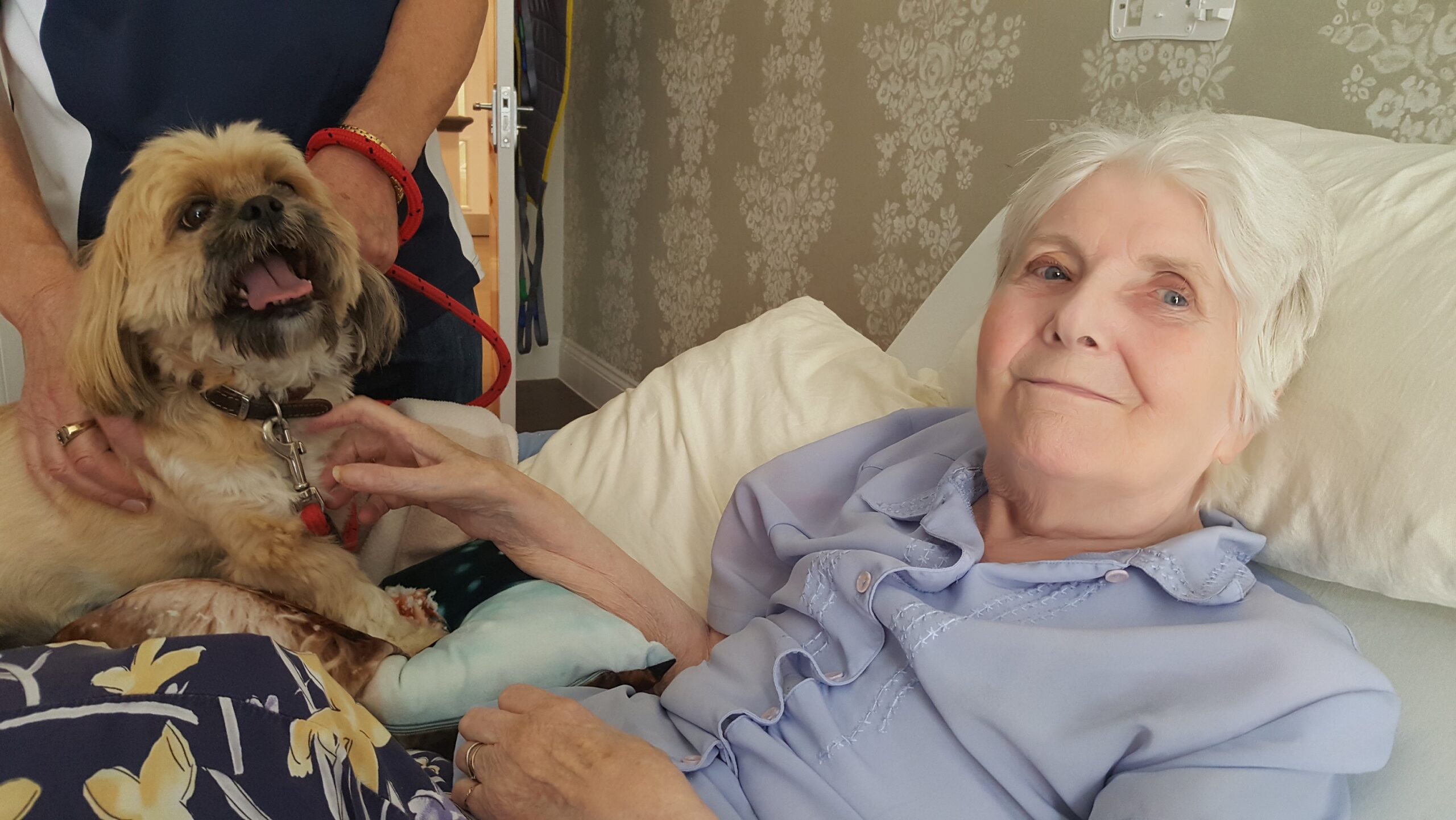 When Harry the Shih Tzu met Great Oaks resident Iris
