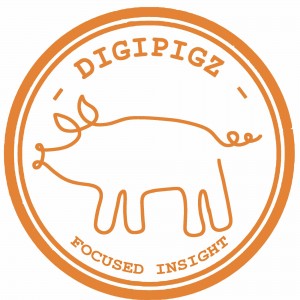 Digipigz - Focused Insight